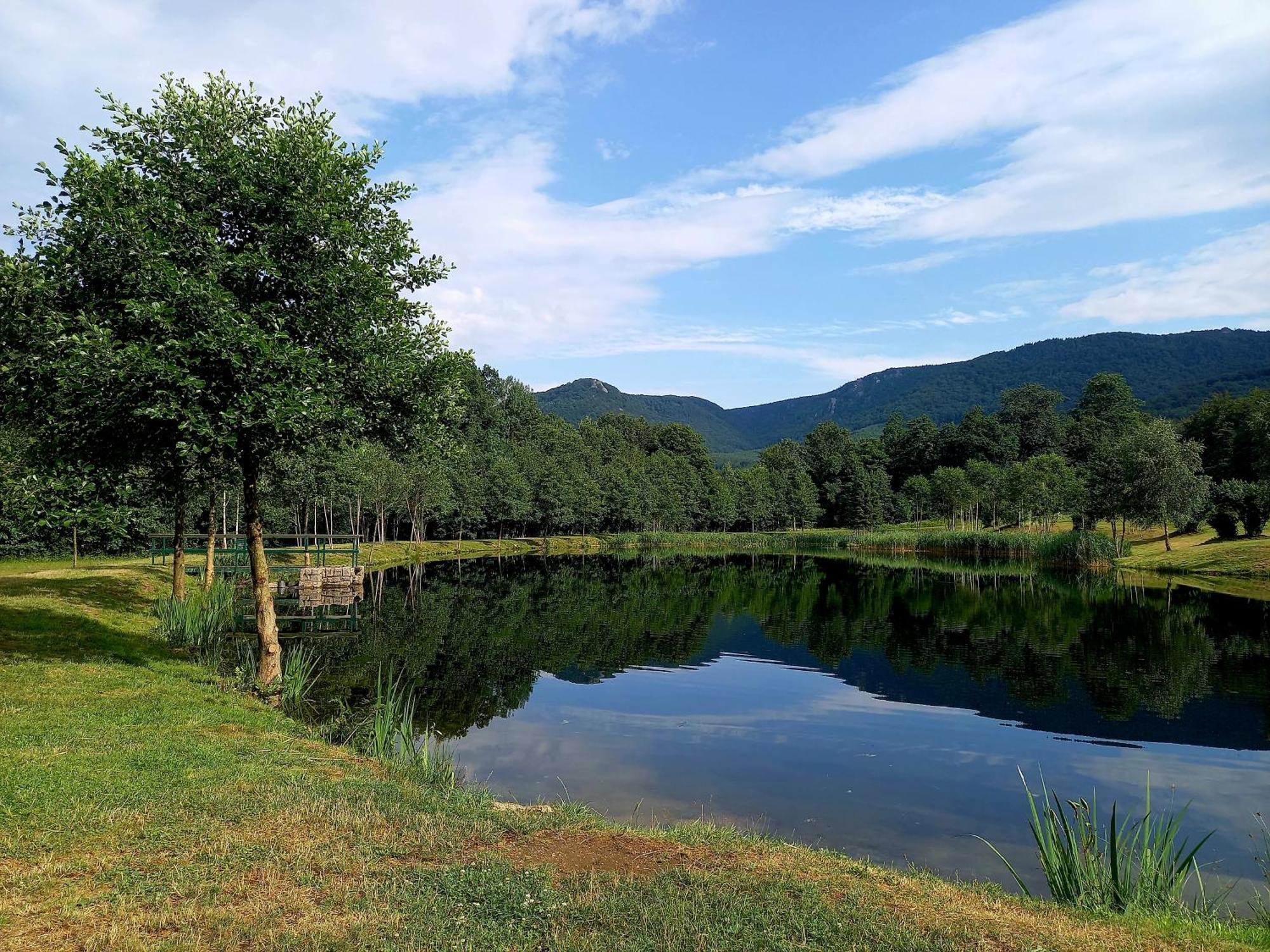 Готель Penzion Pod Sudem Лазнє-Лібверда Екстер'єр фото